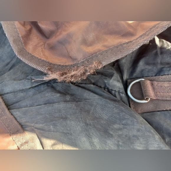 Abetta Artic Horse Blanket size 75 - Picture 4 of 6